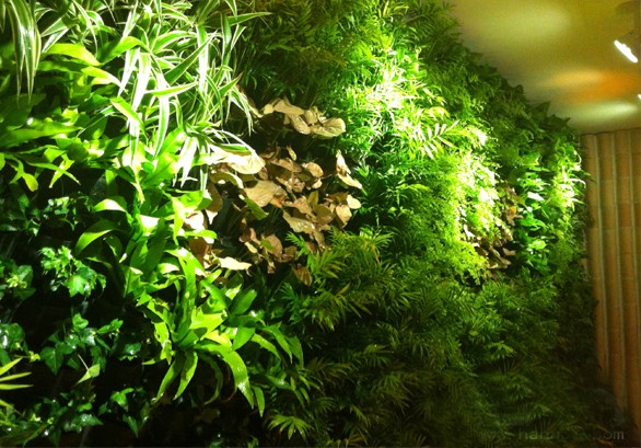 植物墻產(chǎn)品化，不一樣的生態(tài)綠化體驗(yàn)