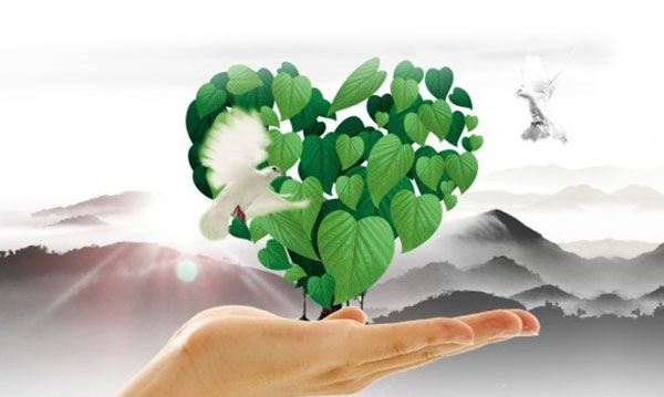 園藝療法——園藝對(duì)治病防病的六大好處