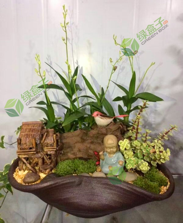 藍(lán)怡園林--水培植物該怎樣過(guò)冬？