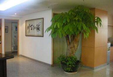 賓館適合租擺哪些植物？