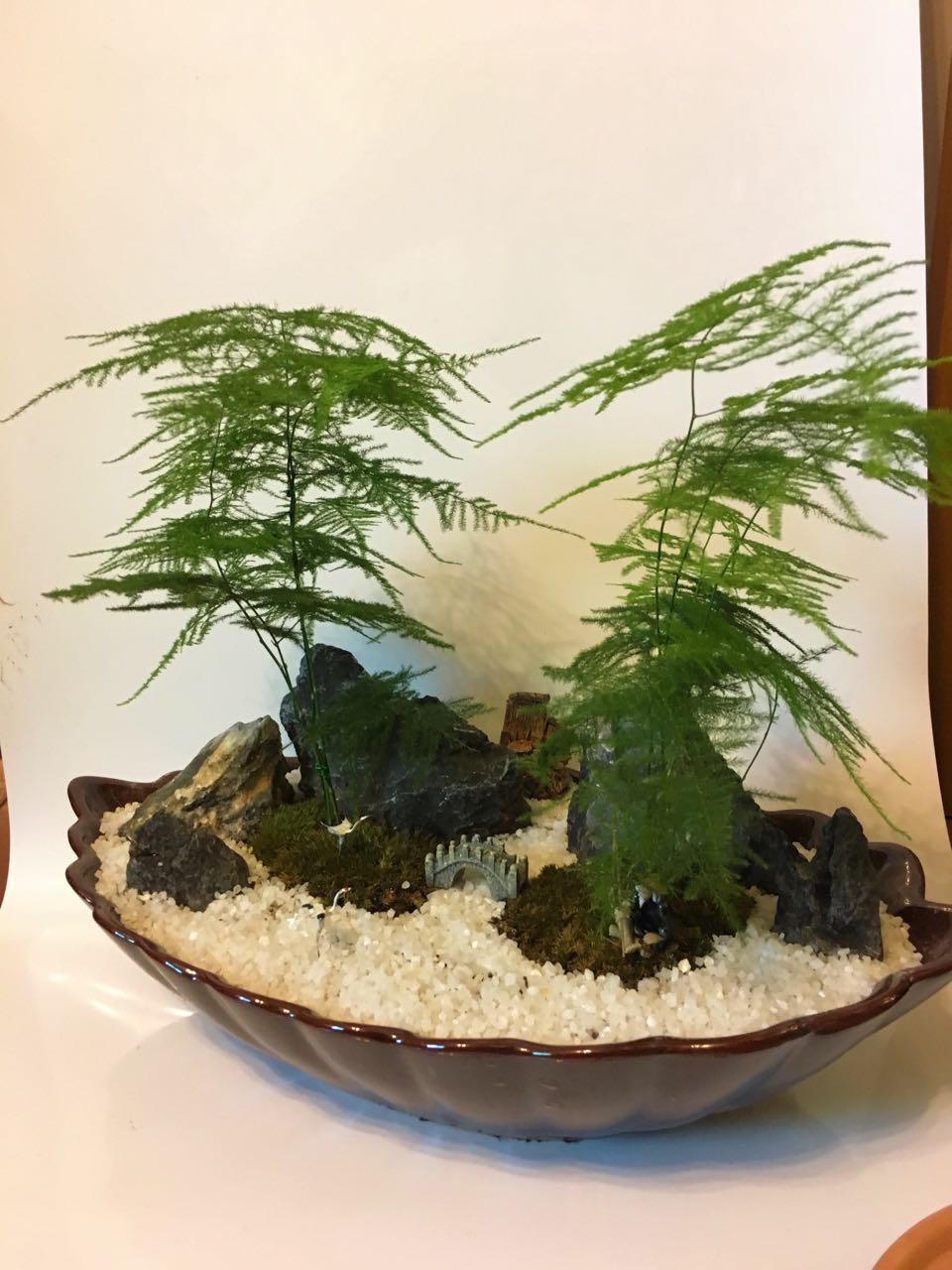 重慶室內(nèi)觀葉花木修剪技巧？