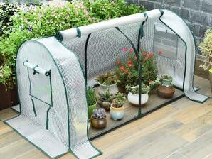 重慶植物租賃公司如何給植物保溫的？