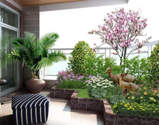 家庭適合租賃植物嗎？